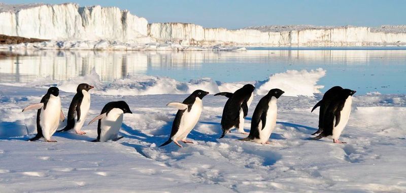 Wer sich selbst als versierter Embedded-Entwickler zum ersten Mal auf Linux-Reise begibt, muss sich auf einige neue Erfahrungen einstellen – vor allem im Umgang mit dem Open-Source-Gedanken.