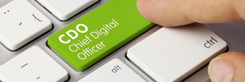 Fachkräfte aus Wirtschaft und IT sehen eine klare langfristige Notwendigkeit für die Position des CDO bei der Förderung von organisatorischem Wandel.