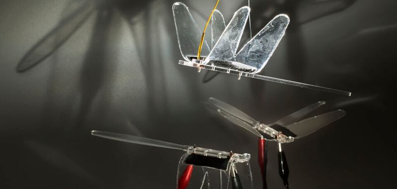 Ein Vorversuch an der University of Auckland: Bionische Libellen. Im Projekt „Meitner“ wollen Wissenschaftler eine neue Generation von Robotern entwickeln.