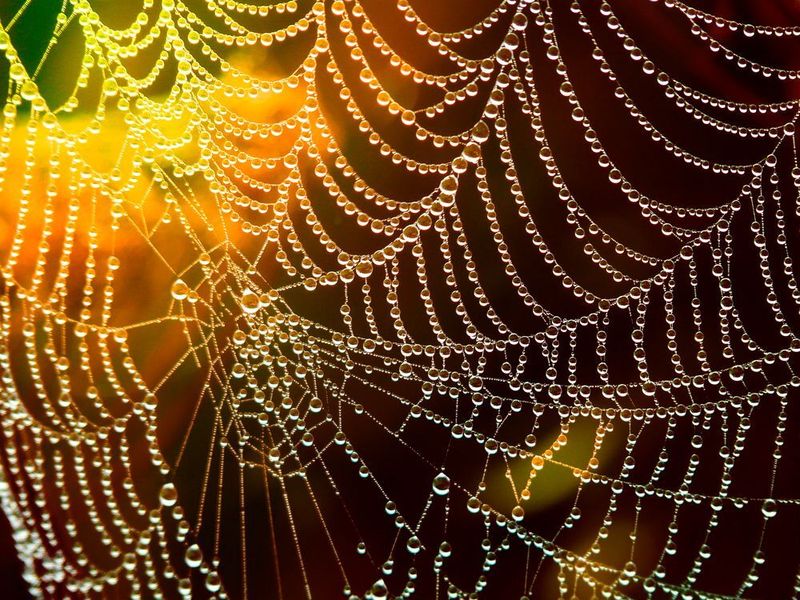 Einen vollständigen Einblick in diverse Netzwerkumgebungen bietet eine IIoT-Sicherheitsarchitektur, die volle Transparenz in IoT- und OT-Umgebungen schafft.