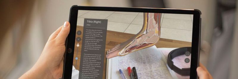 Detailgetreue 3D-Modelle gewährleisten z.B. mithilfe eines Tablets Einblicke ins Körperinnere bei der medizinischen Ausbildung.