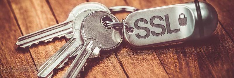 SSL-Verschlüsselung ist für ein sicheres SD-WAN unerlässlich.