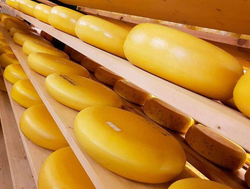 Käserei kombiniert Handwerkskunst und Automatisierungstechnik – und macht damit die Käseherstellung transparent und sicher – für einen leckeren Käse.
