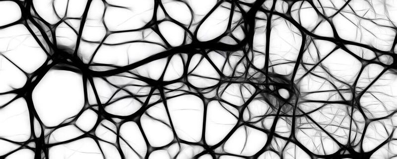 Künstliche neuronale Netze basieren auf dem menschlichen Gehirn – und ihre Vorgehensweise ist genauso undurchschaubar. Informatiker wollen sich jetzt Methoden der Hirnforschung zunutze machen.