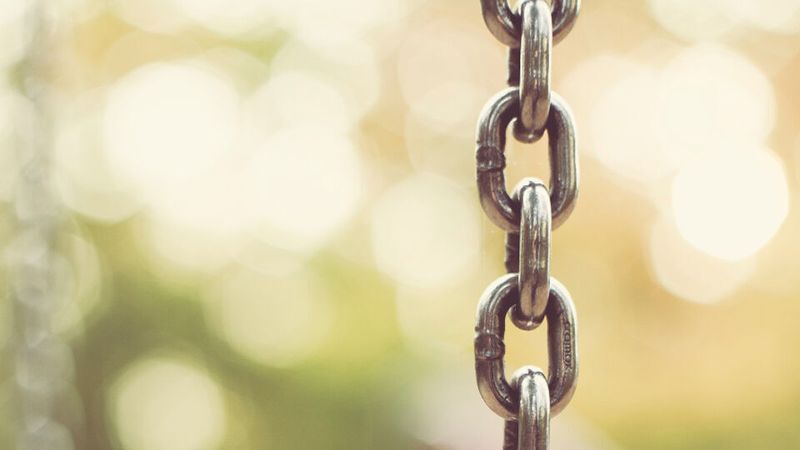 Der Digitalverband Bitkom bietet das Infopapier kostenlos an.
