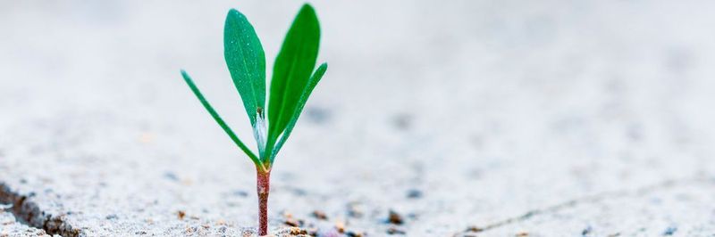 Grundzüge und Richtlinien einer späteren Skalierung sollten frühzeitig festgelegt werden, um eine IIoT-Plattform bestmöglich auf das zukünftige Lastaufkommen vorzubereiten.