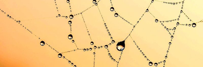 Unternehmen setzen bei der Netzwerkverwaltung verstärkt auf die WAN-Transformation, um einen Multiplikatoreffekt bei Cloud-Investitionen zu erzielen.