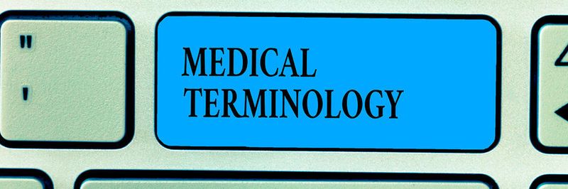 Der Bundesverband Gesundheits-IT (bvitg) fordert eine gesetzliche Regelung für die Einführung des elektronischen Medizin-Terminologie-Systems SNOMED CT