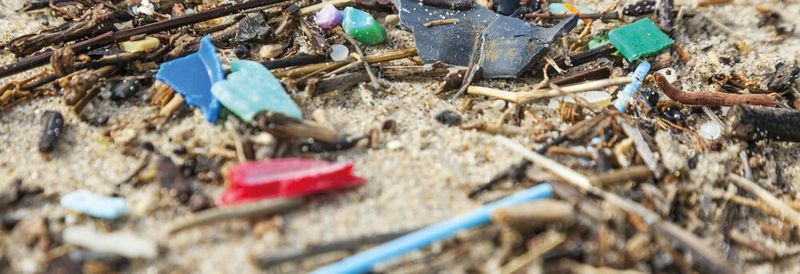 Abb. 1: Viele Kunststoffe des täglichen Bedarfs enthalten Additive – die teils toxischen Stoffe gelangen durch falsche Entsorgung auch in die Umwelt.