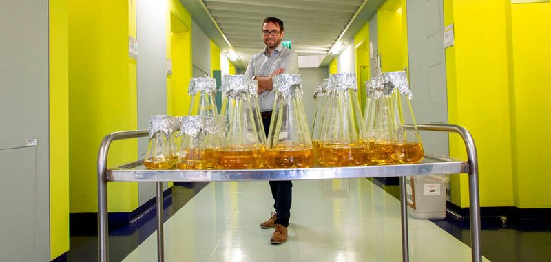 Gustav Oberdorfer forscht seit Februar 2018 am Institut für Biochemie der TU Graz an nachhaltigen Substanzen, um LEDs zu beschichten.