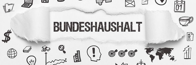 Digitalpolitische Maßnahmen sind im Bundeshaushalt 2020 mannigfaltig vertreten