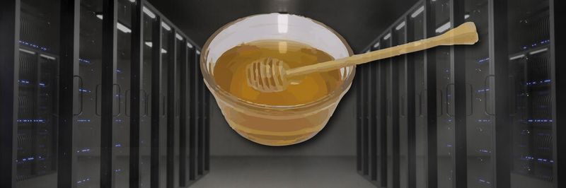 Um auf Cyberattacken in der öffentlichen Verwaltung reagieren zu können, wurde in Sachsen die IT-Sicherheitslösung HoneySens entwickelt.
