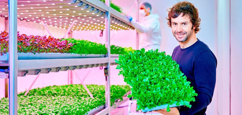 Mitbegründer und Co-CEO von Planet Farms, Luca Travaglini, plant Europas größten Vertical-Farming-Betrieb in Italien. Die LED-Technik stammt von Signify.