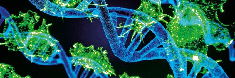 Je größer und komplexer die Netzwerke und die Datenmengen werden, desto robuster muss das Sicherungssystem werden, um Angreifern Paroli bieten zu können