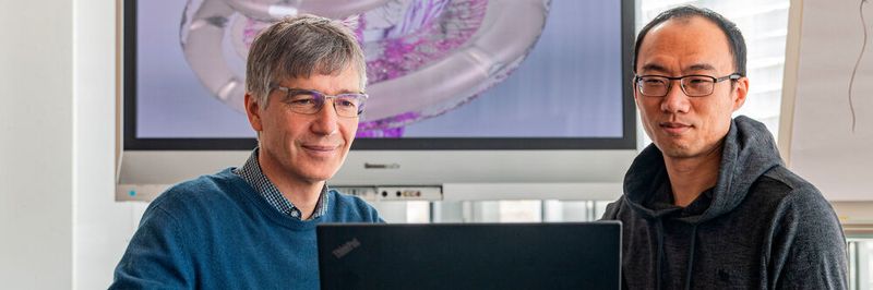 Prof. Dr. Werner Hemmert und Dr. Siwei Bai haben ein Computermodell entwickelt, mit dem sich die von einem Cochlea-Implantat erzeugten neuronalen Erregungsmuster im Hörnerv bestimmen lassen