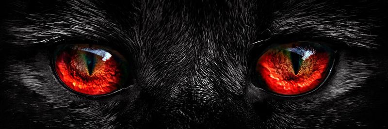 G Data setzt „Beast“ jetzt in den Business-Lösungen ein.