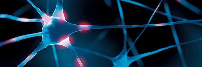 SDN, 5G, IoT, Edge Computing – wenn es um Netzwerke geht, wird es so schnell nicht langweilig.