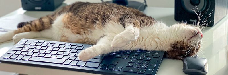 Langeweile im Homeoffice? Gadgets können helfen.