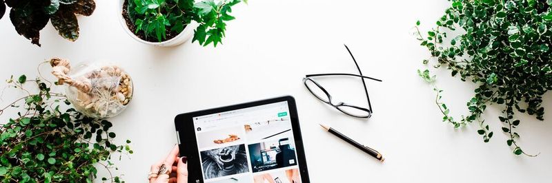 Das Thema Nachhaltigkeit dominiert – auch im E-Commerce.