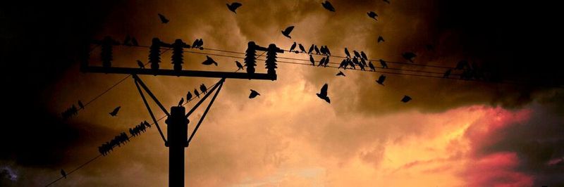 Die Energiewirtschaft setzt zur Anbindung von Sensoren und Messtechnik auf LoRaWAN.