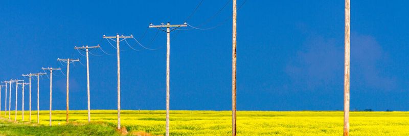 Das Geschäft mit dem Netz bedarf einer neuen Ausrichtung.
