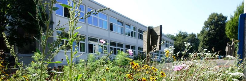Montessori Gemeinschaftsschule Saar