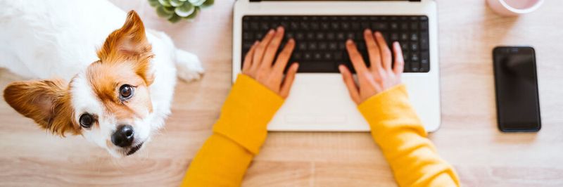 Homeoffice oder lieber Büro?