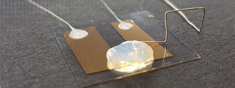 Der Einzelatom-Transistor, der in einem Gel-Elektrolyten funktioniert, erreicht die Grenze der Miniaturisierung.
