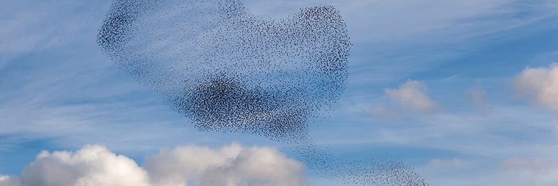 Workloads mit großen Datenmengen eigenen sich am besten für den Cloud-Betrieb.