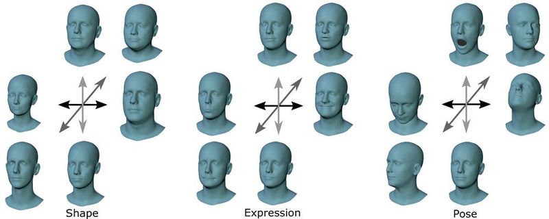 Flame ist ein statistisches 3D-Kopfmodell, das mit Hilfe des maschinellen Lernens aus über 30.000 3D-Kopfscans erstellt wurde.