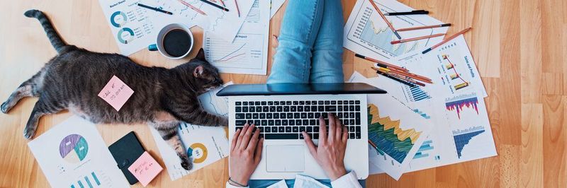 Remote Working wird während der Corona-Pandemie zur neuen Normalität.
