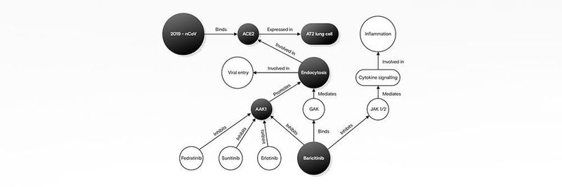COVID-19 gelangt höchstwahrscheinlich über das Protein ACE2 in menschliche Lungenzellen. Dieser Prozess – Endozytose genannt – wird reguliert durch AAK1 (ein anderes Protein). Baricitinib hemmt AAK1 und könnte möglicherweise so auch das Eindringen von COVID-19 in die Lungenzellen verhindern.