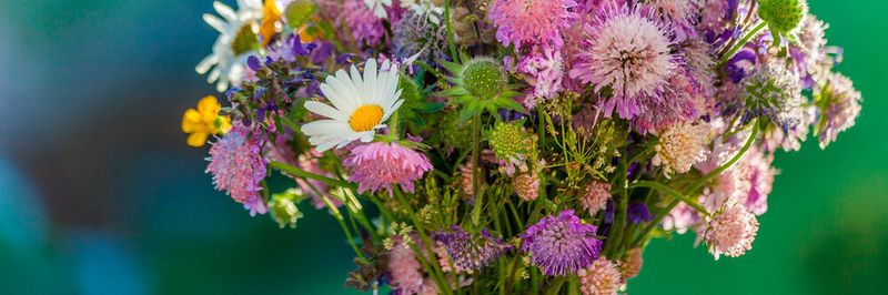 Jedes Unternehmen hat einen Blumenstrauß an Applikationen, die miteinander verbunden werden.