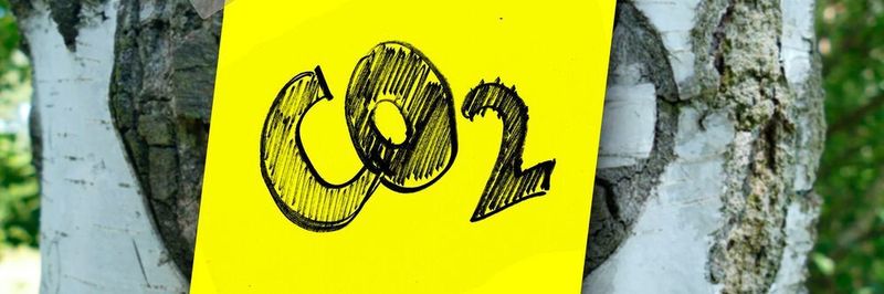 Eine Metastudie von Bitkom, Borderstep Institut und Universität Zürich zeigt: Der verstärkte Einsatz digitaler Technologien kann zum Erreichen der Klimaziele beitragen.