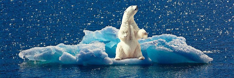Zu den datenintensivsten Wissenschaftsbereichen gehört die Klimaforschung. Essenziell für die Speicherung der Forschungsdaten sind entsprechende HPC-Storage-Lösungen.
