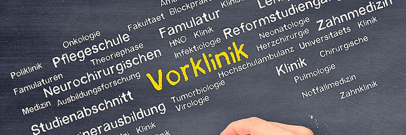 Ab dem 25. Mai 2020 können Medizinstudierende die FamuLAND-Förderung beantragen. Die Gesamtförderung beträgt maximal 850 Euro