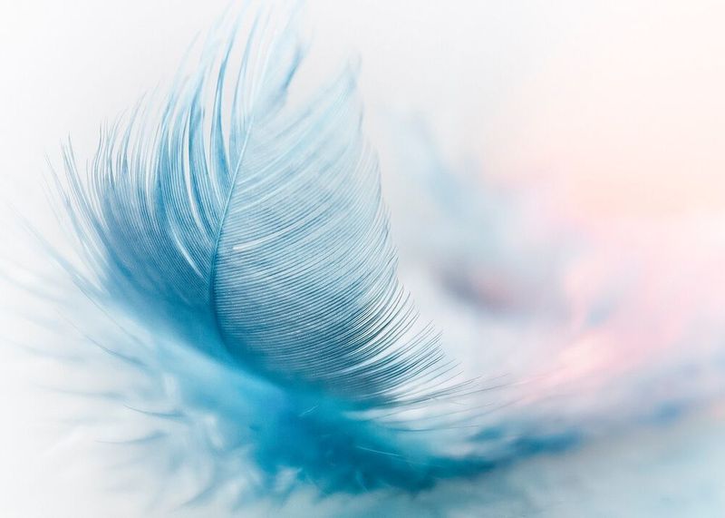 Bei topologieoptimierten Konstruktionen kommt nur exakt die Menge am Material zum Einsatz, die für die Erfüllung der Anforderungen unbedingt nötig ist.