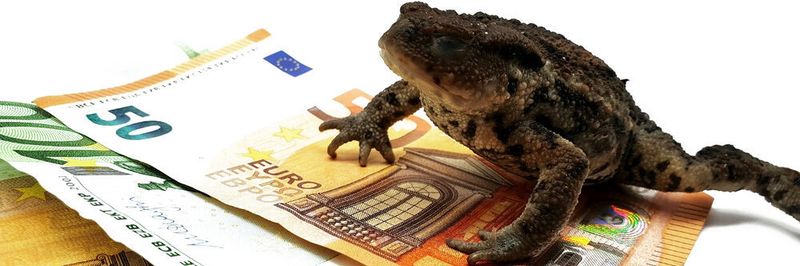 Die Software Toad (Deutsch: Kröte) ist eine wichtige „Cash Cow“ bei Quest.
