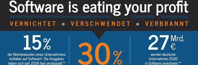 Software frisst nicht nur die Welt, sondern im schlimssten Fall auch die Gewinne des Unternehmens auf, unterstreicht ClueBiz.