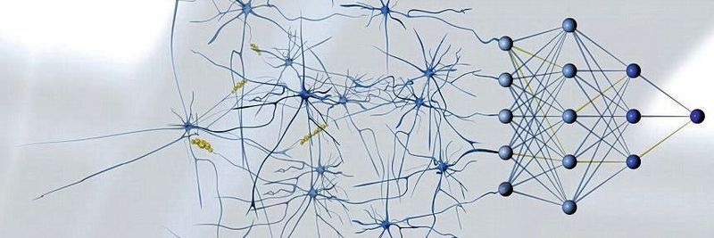 Deep-Learing-Methoden: Entwickler erfassen mithilfe von Radardaten und einem eigens entwickelten neuronalen Netz einzelne Herzschläge.