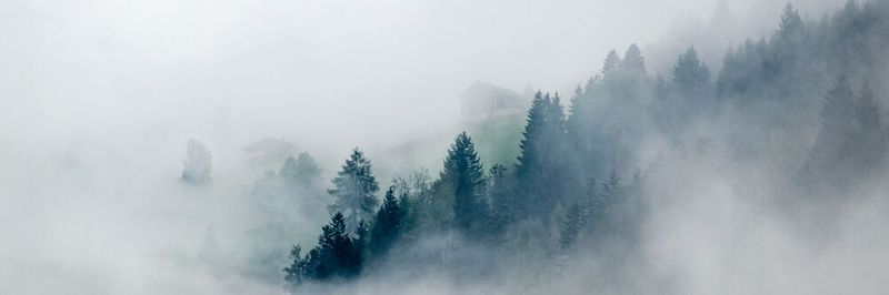 Weniger Nebel im Netzwerk – mit der „Mist“-Plattform bringt Juniper Licht ins Dunkel.