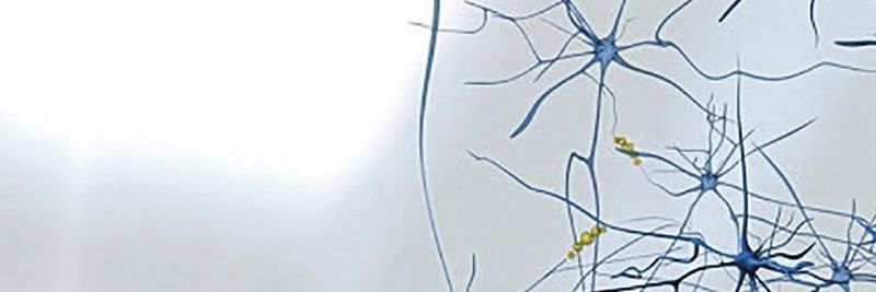 Deep-Learing-Methoden: Entwickler erfassen mithilfe von Radardaten und einem eigens entwickelten neuronalen Netz einzelne Herzschläge.