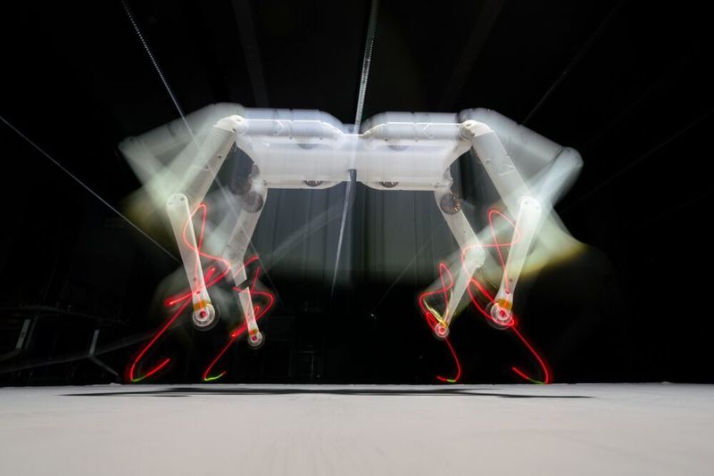 Der vierbeinige Roboter Solo 8 kann aus dem Stand über 40 Zentimeter hoch springen. Gedacht ist er vor allem für die Grundlagenforschung.