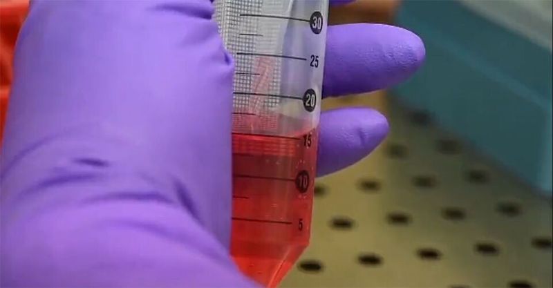 Biomedizinwissenschaft und Hochleistungsrechnen zeigen Ergebnisse in der COVID-19-Bekämpfung.