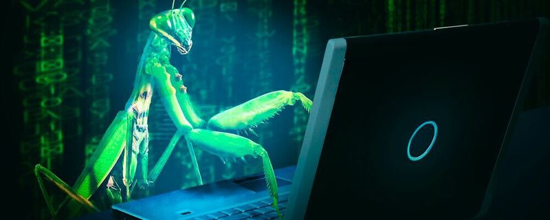 Software Bugs gehen oft mit Programmierfehlern einher.