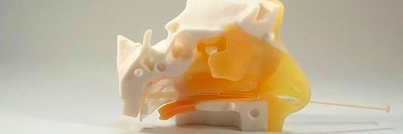 Damit medizinisches Personal sich auf diese Nasenabstiche vorbereiten kann, stellt Bone 3D nun einen 3D-gedruckten Simulator als Open-Source-Datei zur Verfügung.