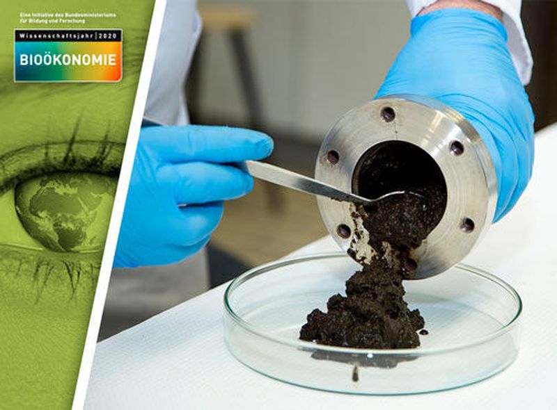Mögliche Alternative zu Kohle und Erdöl: Ein Team der Universität Hohenheim erforscht Bioraffinerie-Verfahren, die pflanzliche Biomasse in hochmoderne Kohlenstoff-Materialien umwandeln.