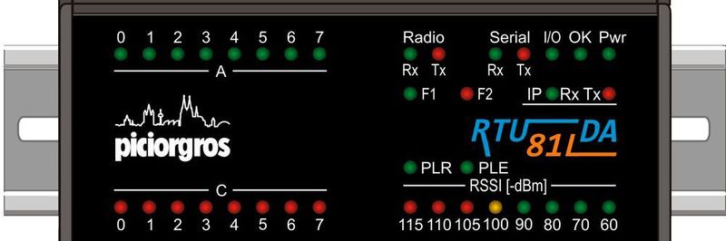 In der Variante RTU-81L/DA mit digitalen und analogen Ein- und Ausgängen kann das System optional auch mit einer integrierten Micro-SPS PicoLogo ausgestattet werden.