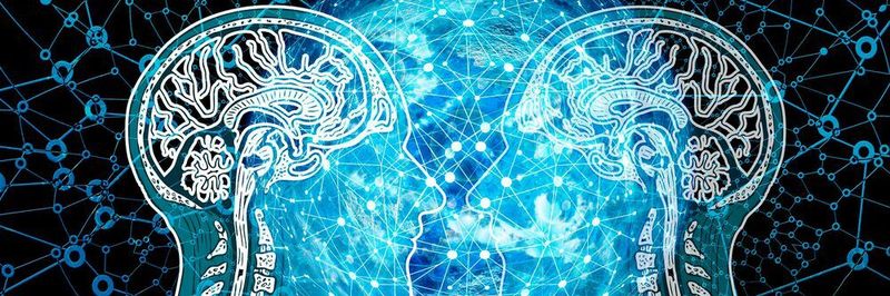 Forscher wollen herausgefunden haben, dass Entscheidungen vieler KI-Systeme nicht sehr intelligent sind.