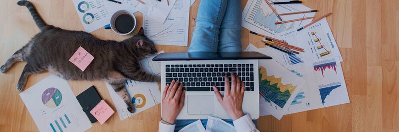 Der digitale Arbeitsplatz kann überall sein: am Schreibtisch zuhause oder im Café um die Ecke.